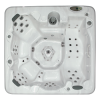 Спа бассейн Coyote Spa Maricopa