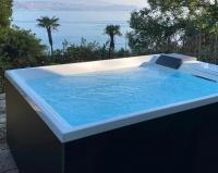 Спа бассейн Treesse Shadow